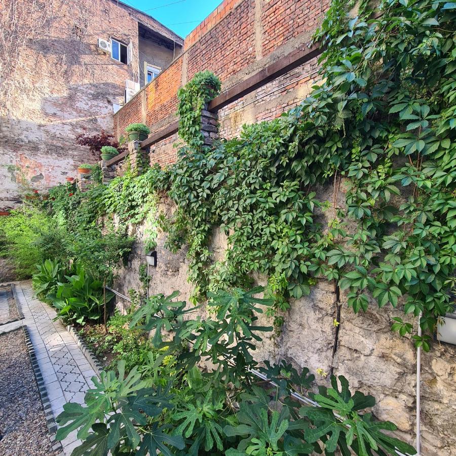 Up Hostel Belgrad Exterior foto